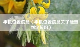 手机位置信息（手机位置信息关了能查到定位吗）