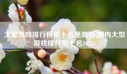 大型游戏排行榜前十名是哪些(国内大型游戏排行前十名2023)