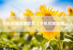 手机权限管理软件（手机权限管理app）