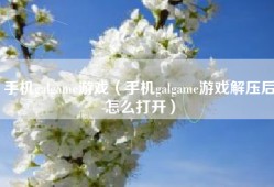 手机galgame游戏（手机galgame游戏解压后怎么打开）