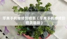 苹果手机维修价格表（苹果手机维修价格表最新）