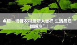 点赞！博野农村厕所大变样 生活品质“蹭蹭涨”！
