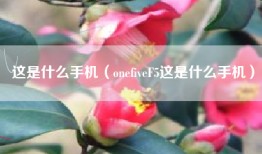 这是什么手机（onefiveF5这是什么手机）