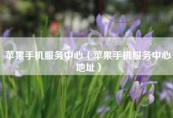 苹果手机服务中心（苹果手机服务中心地址）