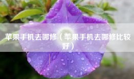 苹果手机去哪修（苹果手机去哪修比较好）