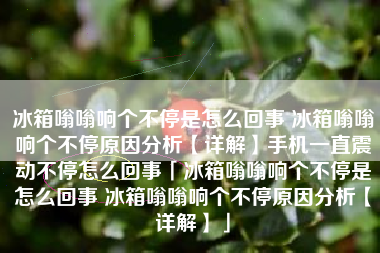 冰箱嗡嗡响个不停是怎么回事 冰箱嗡嗡响个不停原因分析【详解】手机一直震动不停怎么回事「冰箱嗡嗡响个不停是怎么回事 冰箱嗡嗡响个不停原因分析【详解】」