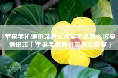 苹果手机通讯录怎么恢复手机怎么恢复通讯录「苹果手机通讯录怎么恢复」