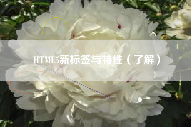 HTML5新标签与特性（了解）